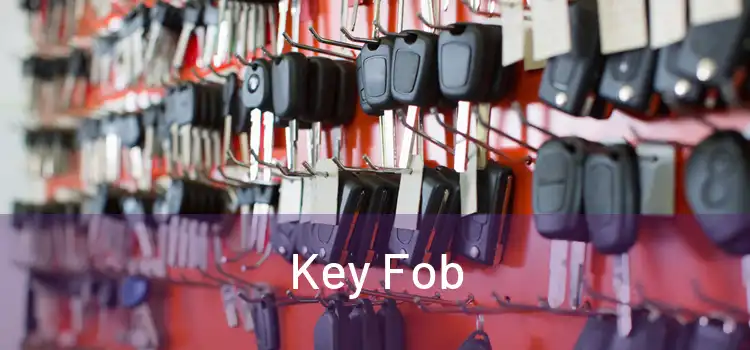 Key Fob 